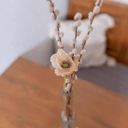 Mili Vrh فندق مبيت وإفطار