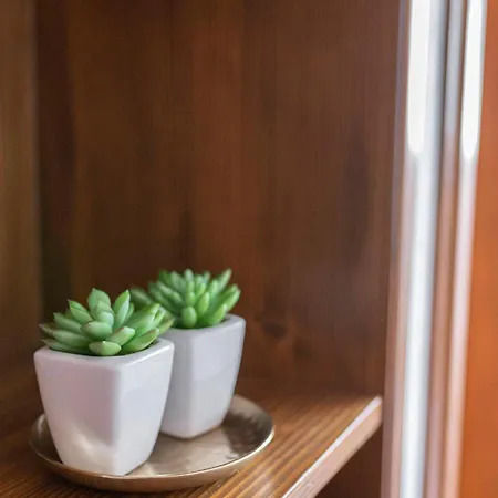 米利威赫住宿加早餐旅馆 住宿加早餐酒店