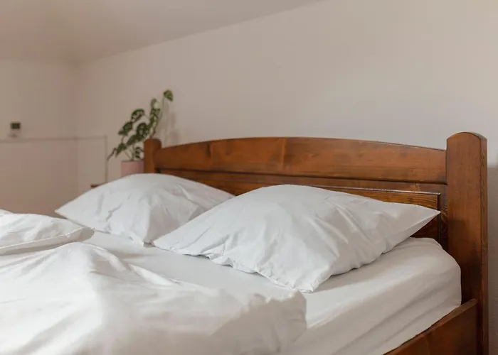 Mili Vrh Bed & Breakfast Kamnik