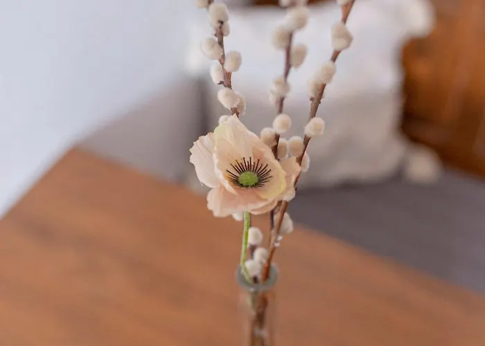 米利威赫住宿加早餐旅馆 住宿加早餐酒店